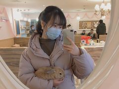 -猫猫幼稚园·撸猫·桌游·电玩