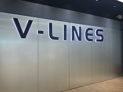 -VLines耀能运动24小时·月付制健身(京广桥店)
