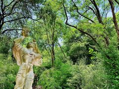 -原山国家森林公园