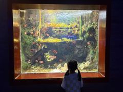 -太平洋海底世界