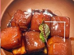 青柑普洱红烧肉-二十四单 淮扬新味