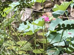 -莲池书院博物馆