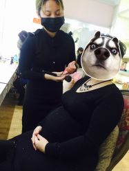 -玛瑞莎·儿童·亲子摄影(越秀店)