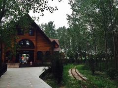 -合肥滨湖国家森林公园