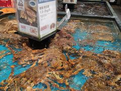 水产区-盒马鲜生(皇庭广场店)