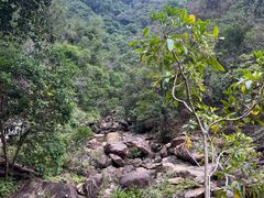 -广州白江湖森林公园