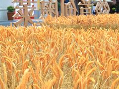 -首创奥特莱斯(西安店)