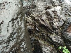 -龙头岩(Dragon Head Rock)
