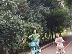 -黛秀湖公园