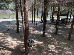-杨柳青庄园