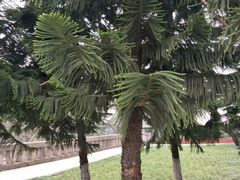 -西南政法大学(沙坪坝校区)