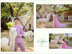 -经典婚纱摄影美学馆·私人定制