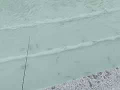 -DGE季风钓虾营地·团建·聚会
