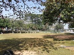 -松山湖梦幻百花洲