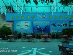 -乌鲁木齐海洋馆