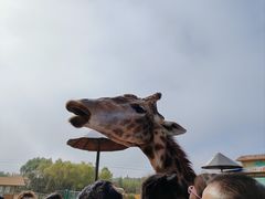 -鄂尔多斯野生动物园