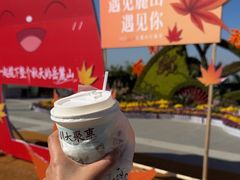 -茶颜悦色(岳麓山顶店)