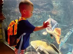 -太平洋海底世界