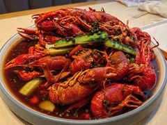 -杨氏青龙虾·羊蝎子(珠江路店)