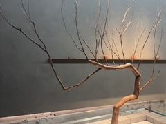 -喜茶(深圳万象城黑金店)