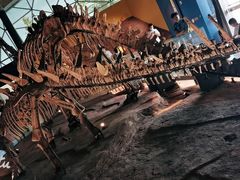 -湖南省地质博物馆