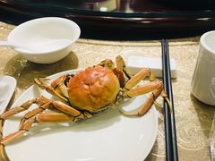 -燕春楼(海河华鼎店)