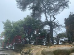 -缙云山景区