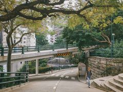-香港大学