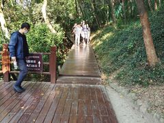 -上海佘山国家森林公园西佘山园