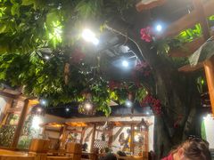 -草原塞蛮羊火锅城(港湾店)