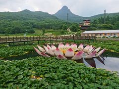 -帽儿山风景区
