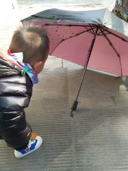 -开心果儿童乐园