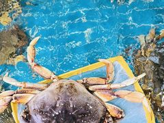 -醉壹号海鲜大排档(厦门美食地标店)