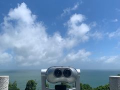 -广东惠东海龟国家级自然保护区