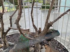 -姑苏二十四集(iD PARK 歌林公园店)