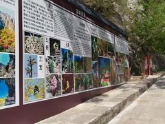 -北京上方山国家森林公园