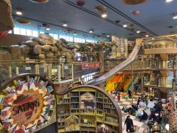 -卡通尼·Safari非洲探索乐园·生日会(金桥国际商业广场店)