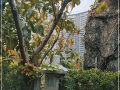 -泉眼温泉