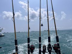 -小猫钓鱼海钓俱乐部(椰梦长廊店)