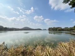 -顺峰山公园