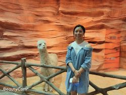 -酷嗒动物文化乐园(cutezoo西溪乐天城店)