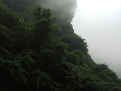 -陕西省红河谷森林公园