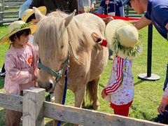 -前小桔亲子创意农场·草莓采摘·露营烧烤