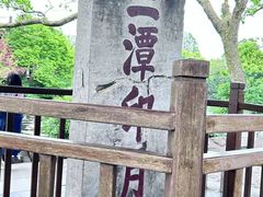 -西湖游船