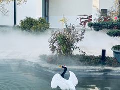 -广富林宰相府酒店·水云间