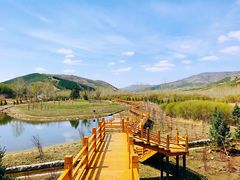 -塞罕坝国家级自然保护区