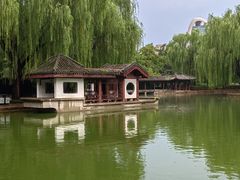 -团结湖公园