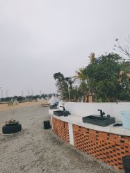 -水八仙生态园