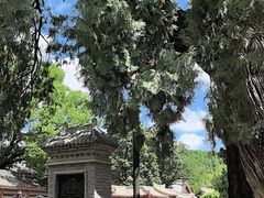 -黄帝陵