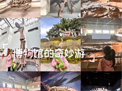 -自贡恐龙博物馆